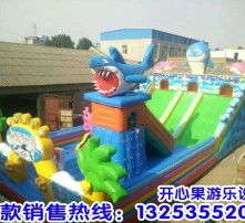 高清圖片與氣模玩具 視覺盛宴與歡樂體驗的完美結合